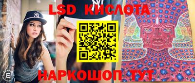 крисы Апшеронск