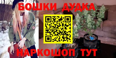крисы Апшеронск