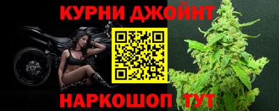 крисы Апшеронск
