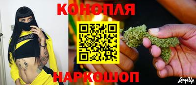 крисы Апшеронск