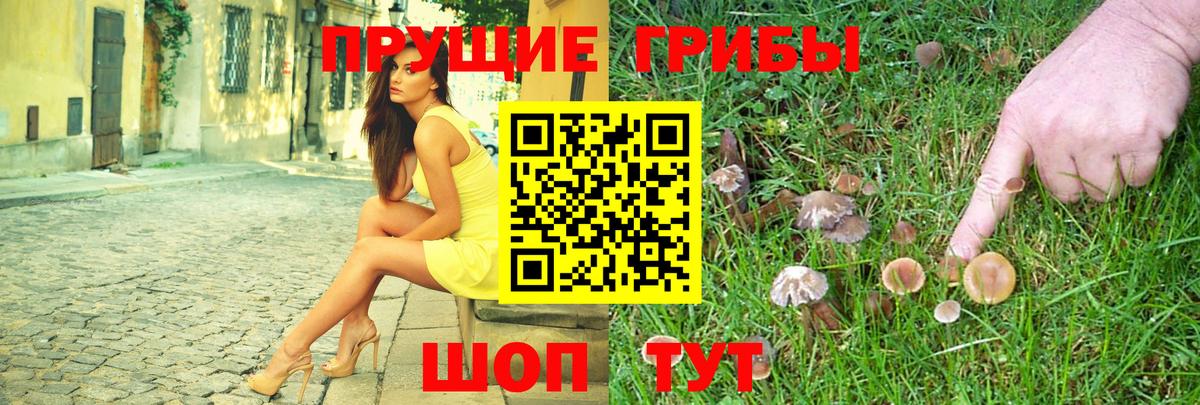 Псилоцибиновые грибы ЛСД  Вход с VPN  Аша  Галлюциногенные грибы Psilocybine cubensis 