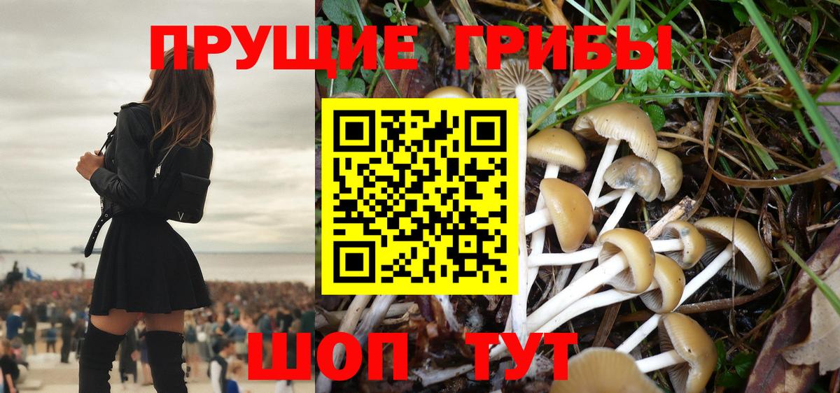 Галлюциногенные грибы мицелий Аша